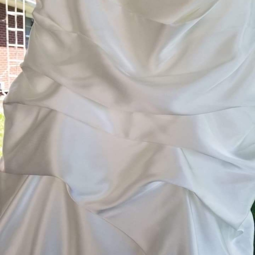 Wedding Dress - Picture 7 of 8